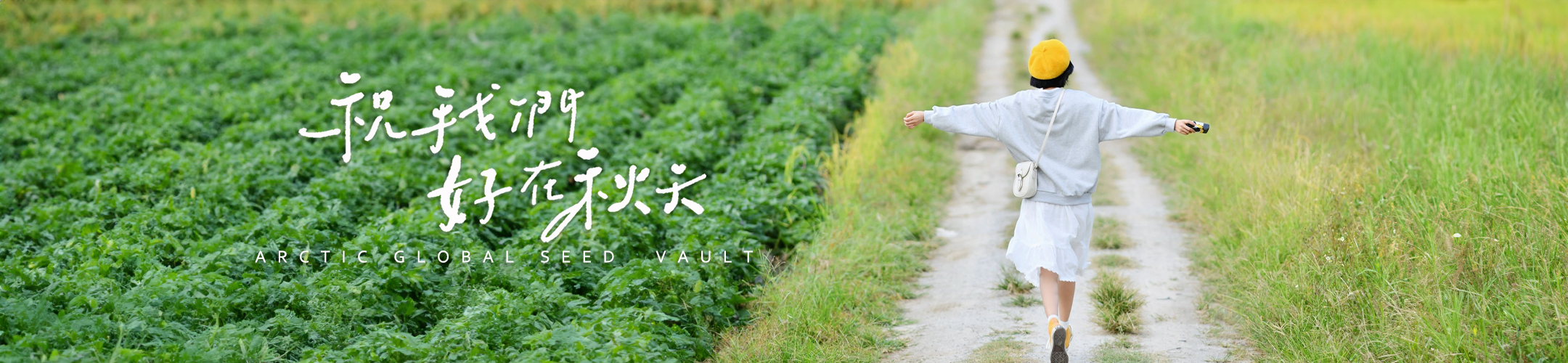 页底广告